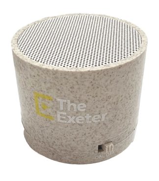 Wireless speaker