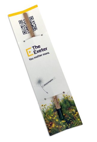 The Exeter Seeded Pencil